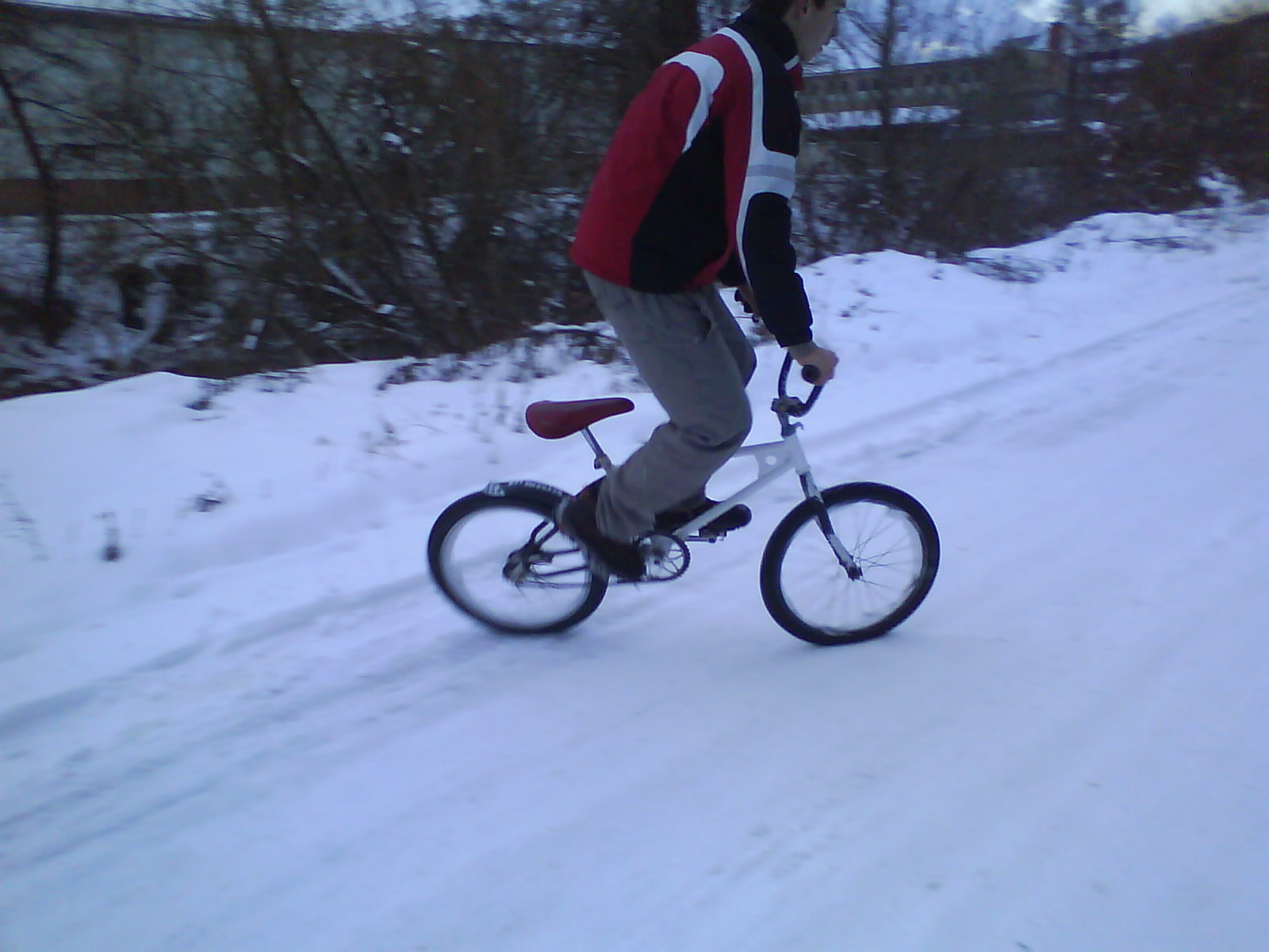 DSC00962.JPG