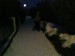DSC01035.JPG